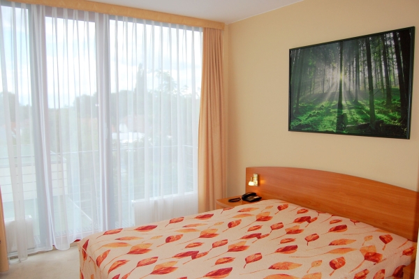 Hotel Balneolum (Quedlinburg)